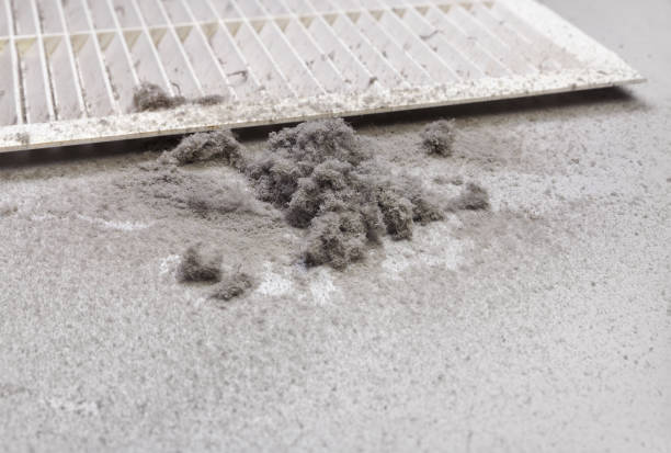 Best Best Air Duct Cleaning Company  in Forest View, IL