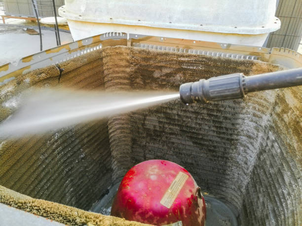 Best Professional Duct Cleaning Services  in Forest View, IL