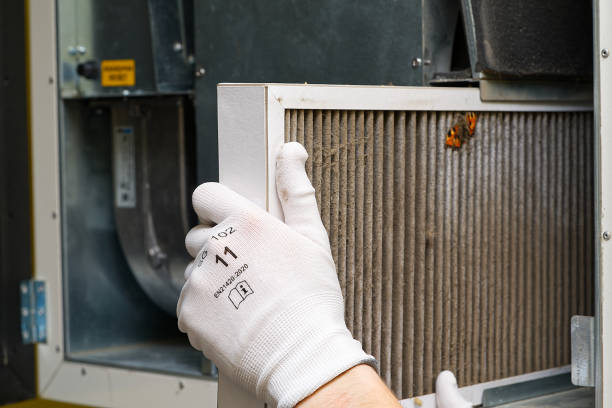Best Dryer Vent Cleaning Services  in Forest View, IL