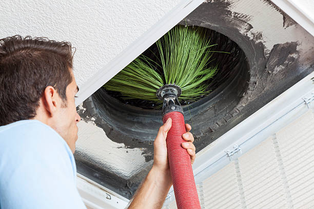Best Home Air Vent Cleaning  in Forest View, IL